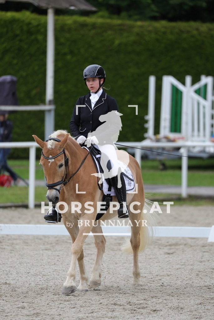 0P6A5196 | Willkommen bei Brunnmayr - Design & Fotografie – Ihrem Spezialisten für Reitturniere und Pferdeveranstaltungen in Oberösterreich, Salzburg und Bayern! Seit über 17 Jahren sind wir leidenschaftlich dabei.