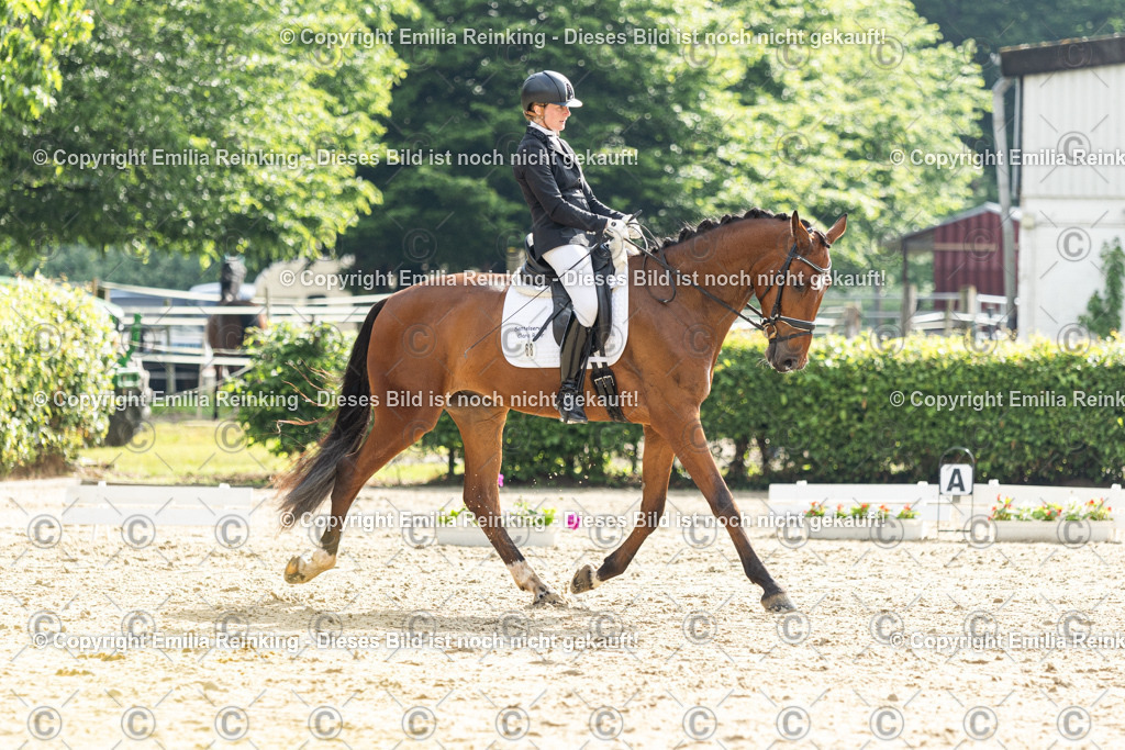 CL5A4334 | Emilia Reinking Fotografie - Realisiert mit Pictrs.com