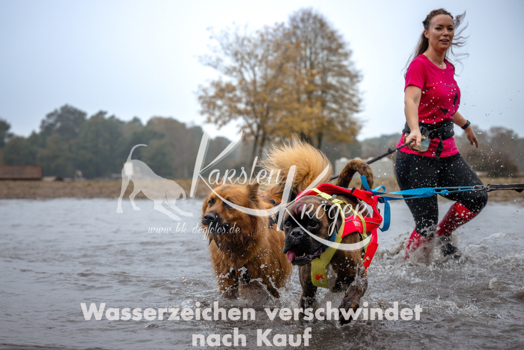 1025_ZZ99592 | kk-dogfotos