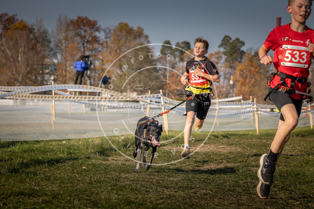 CaniXpix_0L8A8935 | Hundefotografie, Tierfotograf, Pfotenfotografie, Fotoshooting Hund, Hunde Portrait, Hundesport, Hundeportraits, Heideshooting, Hunde, Sportfotograf, Hundefotograf, Turnierhundsport, THS,  - Realisiert mit Pictrs.com