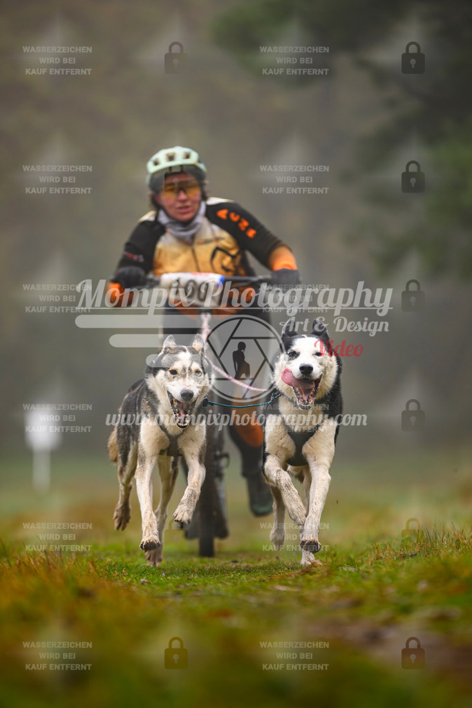 MompixPhotography_Bischwiller2025_Scooter-4 | mompixphotography