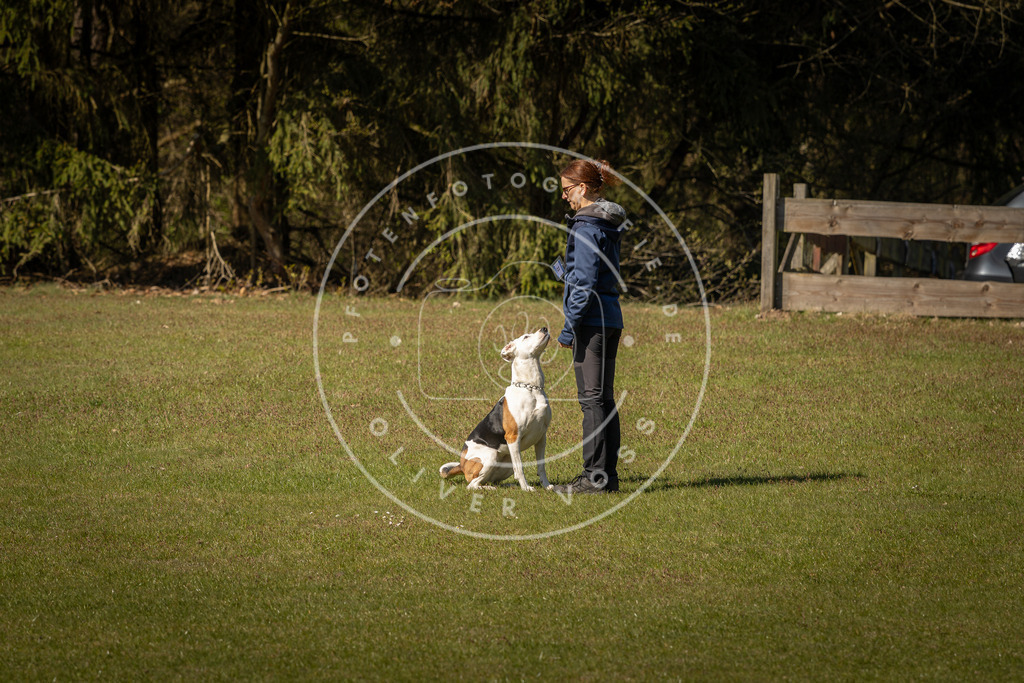 Pfotenfotografie_DV3A0663 | Hundefotografie, Tierfotograf, Pfotenfotografie, Fotoshooting Hund, Hunde Portrait, Hundesport, Hundeportraits, Heideshooting, Hunde, Sportfotograf, Hundefotograf, Turnierhundsport, THS,  - Realisiert mit Pictrs.com