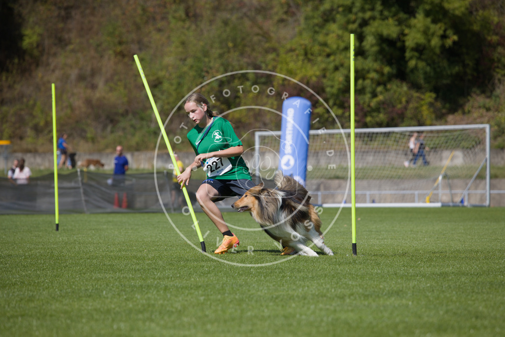 0L8A6040 | Hundefotografie, Tierfotograf, Pfotenfotografie, Fotoshooting Hund, Hunde Portrait, Hundesport, Hundeportraits, Heideshooting, Hunde, Sportfotograf, Hundefotograf, Turnierhundsport, THS,  - Realisiert mit Pictrs.com