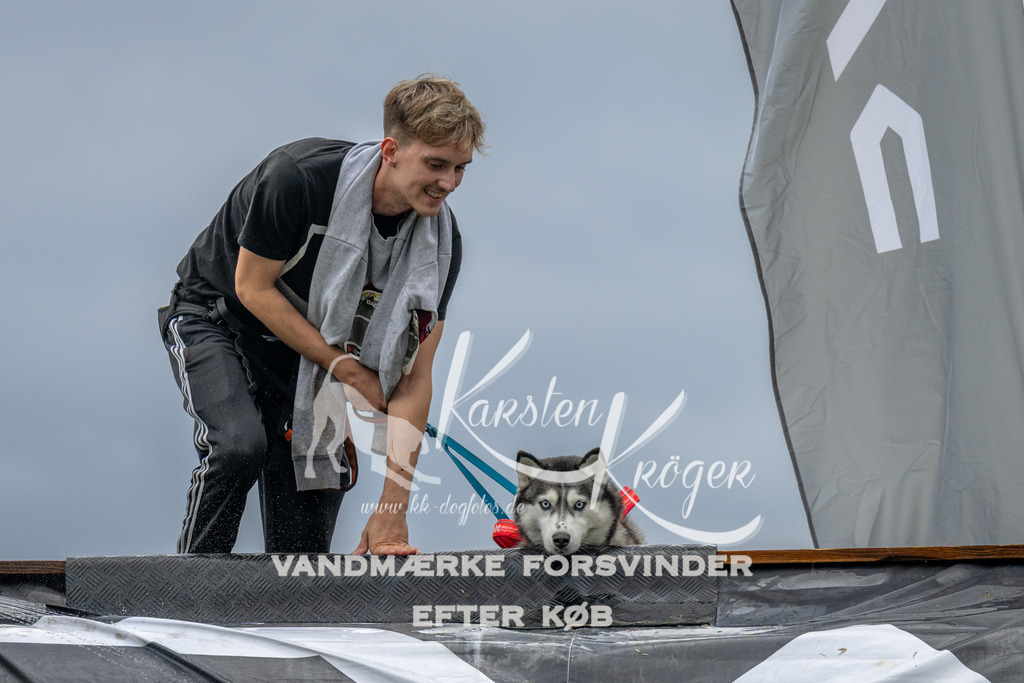 1556_ZZ91471 | kk-dogfotos