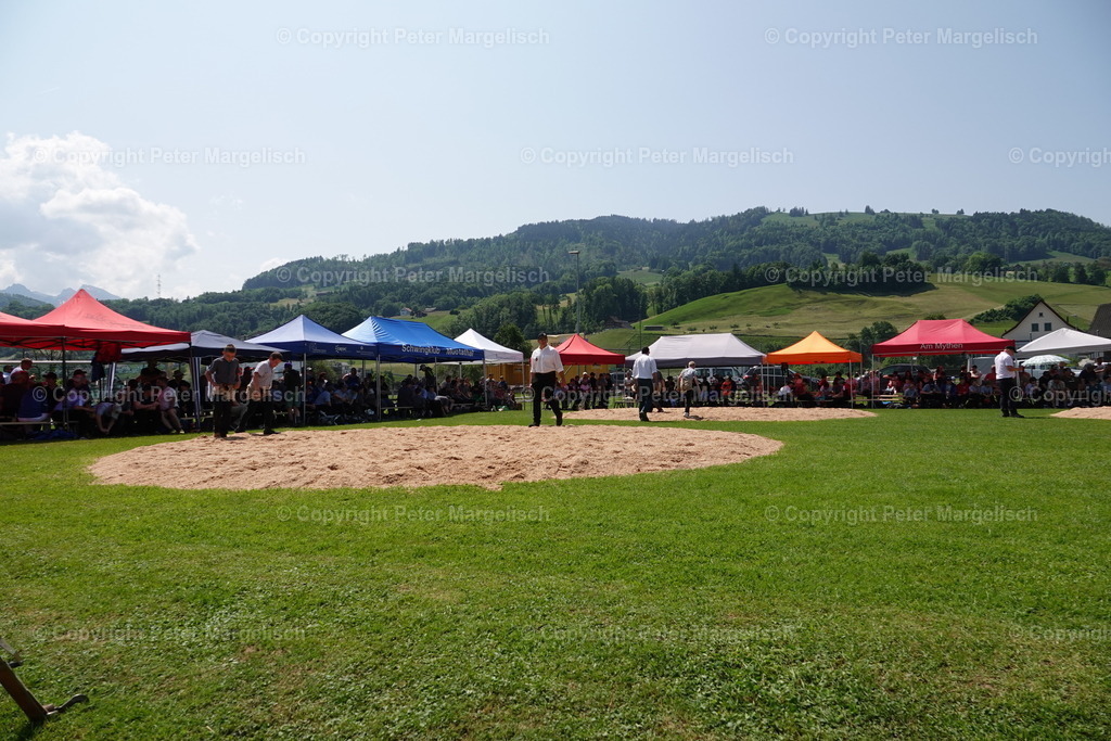 DSC04363 | Schwingen - Realisiert mit Pictrs.com