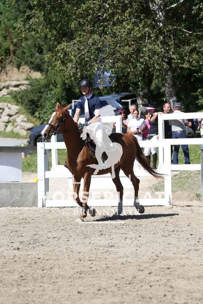 DL2Q0851 | Willkommen bei Brunnmayr - Design & Fotografie – Ihrem Spezialisten für Reitturniere und Pferdeveranstaltungen in Oberösterreich, Salzburg und Bayern! Seit über 17 Jahren sind wir leidenschaftlich dabei.
