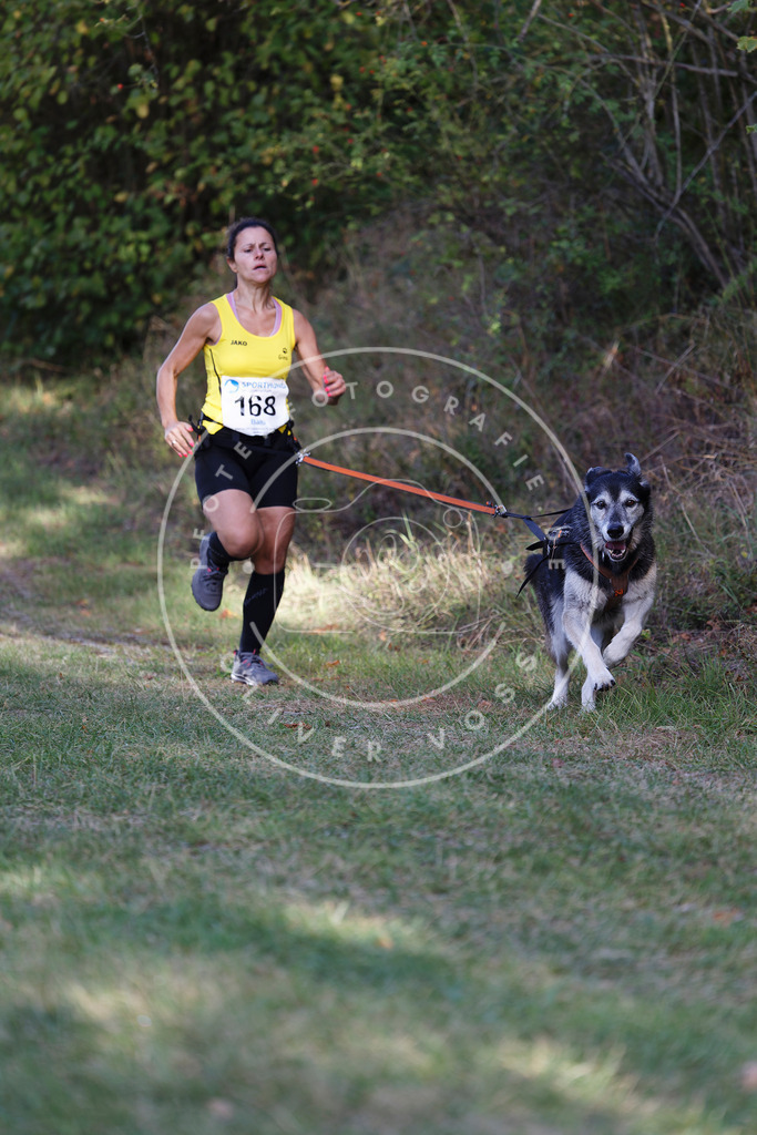 0L8A5313 | Hundefotografie, Tierfotograf, Pfotenfotografie, Fotoshooting Hund, Hunde Portrait, Hundesport, Hundeportraits, Heideshooting, Hunde, Sportfotograf, Hundefotograf, Turnierhundsport, THS,  - Realisiert mit Pictrs.com