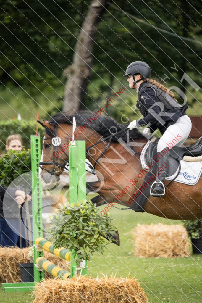 IMG_2320 | Sport-, Event- und Tierfotos in Profiqualität. Einfach auswählen, bestellen und herunterladen. Dein Moment – perfekt festgehalten.