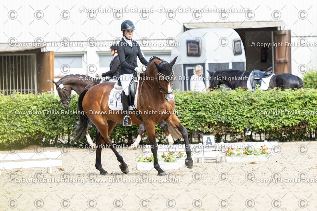 CL5A6343-2 | Emilia Reinking Fotografie - Realisiert mit Pictrs.com