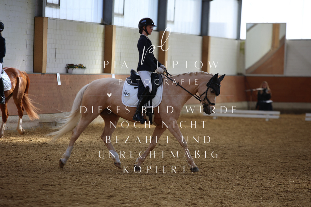 IMGT3915 | pl-fotografie