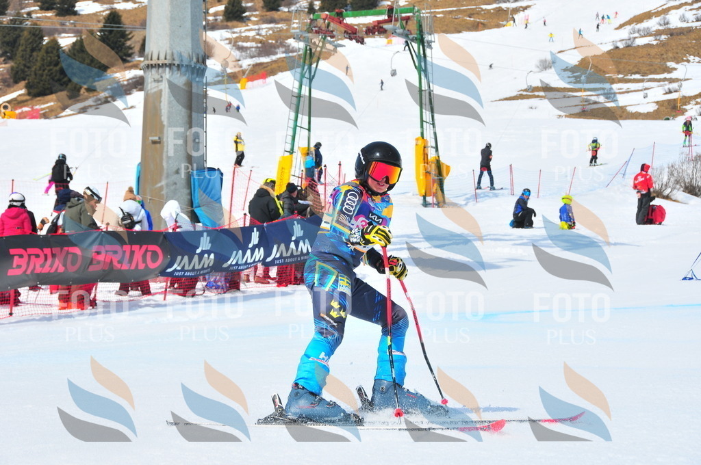 DSC_6730 | holidayphoto