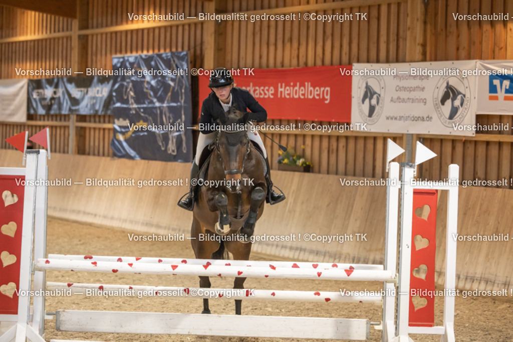 _D5A7033 | Emotionale Pferde- & People-Fotografie rund um Heidelberg, Leimen & Umgebung. Natürliche Fotos von Pferd, Mensch & Familie. Jetzt Termin sichern!