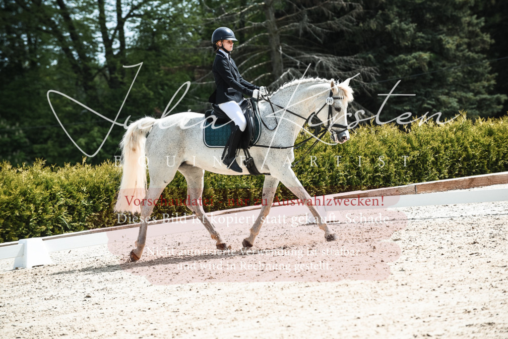20230518_JK-Röhrsdorf-11-0621 | Pferde- und Turnierfotografie in Westsachsen. Pferdeportraits, Auftragszeichnungen und intuitive Kunst.