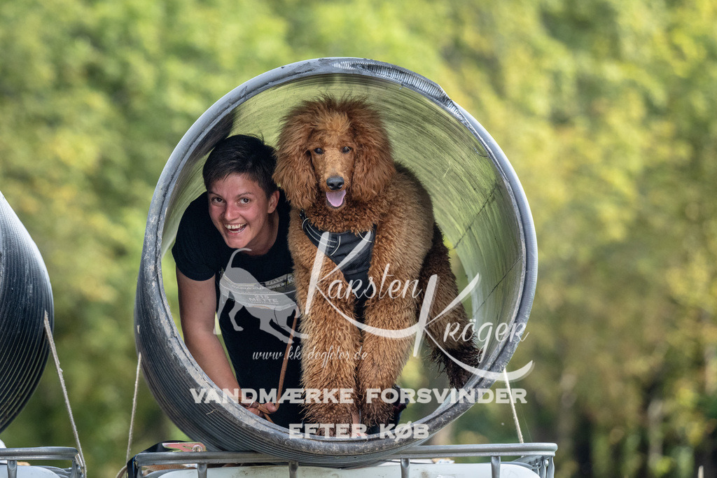 1020_ZZ91808 | kk-dogfotos