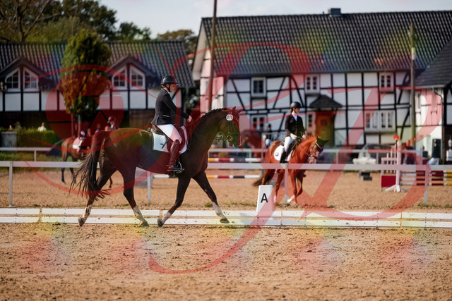 2026_10_03_Siefer-Hof_132308_Z63_84180674 | Professionelle Reitsport-, Turnier- und Eventfotografie von Robert Broda. Galerien mit ausgewählten und bearbeiteten Bildern direkt online ansehen und bestellen.
