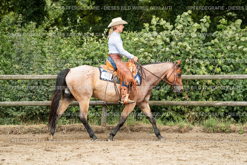 DSC04334 | Pferdegrafie