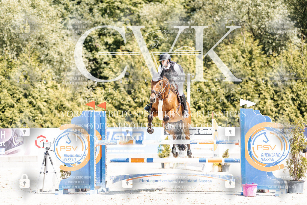 CK900608 | Turnierfotografie Pferdefotografie Trier Rheinland-Pfalz Pferdesport Reitsport Tierfotografie Sportfotografie Pferdevideo Pferdevideografie Equestrianvideography equestrianphotography  - Realisiert mit Pictrs.com