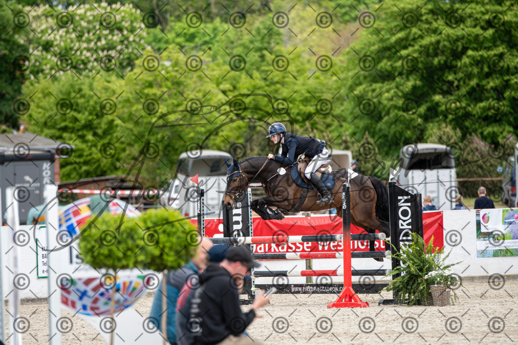 KPT_5760 | andre_photographic