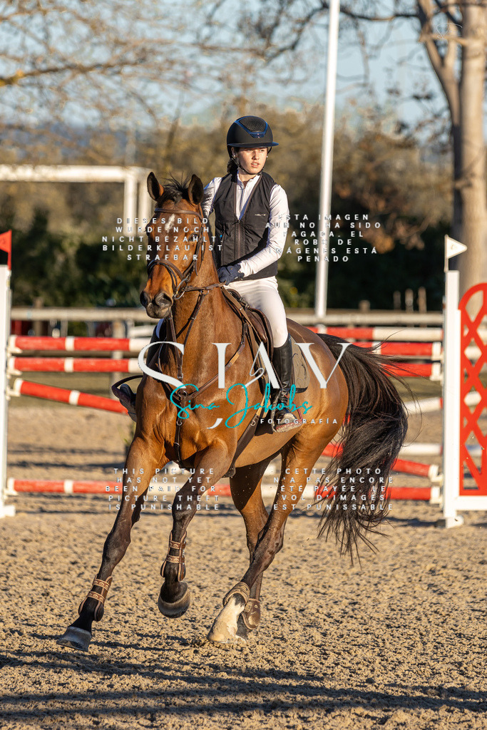 IMG_2799 | s-jay-photography - Realisiert mit Pictrs.com