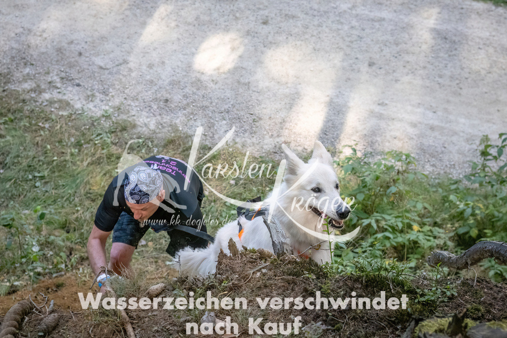 1052_ZZ93242 | kk-dogfotos