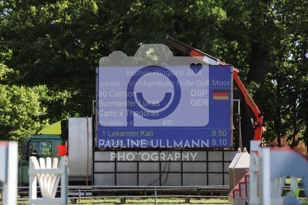 IMG_6089 | Pauline Ullmann Photography - Realisiert mit Pictrs.com