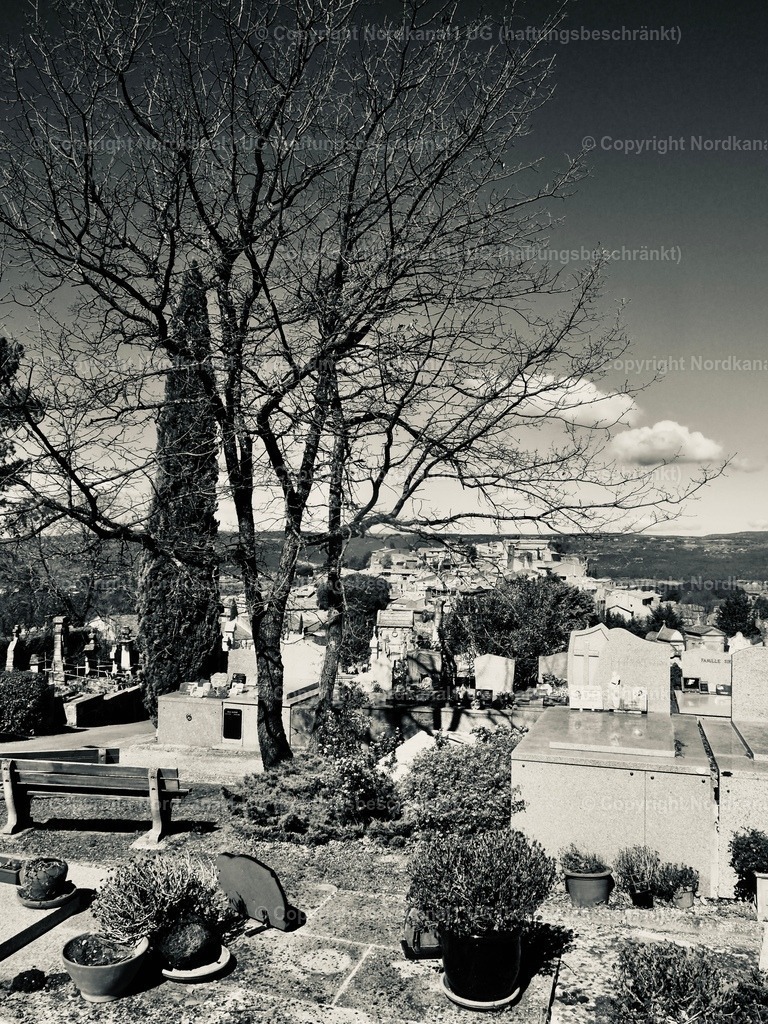 IMG_4020 | OLYMPUS DIGITAL CAMERA          - Realisiert mit Pictrs.com