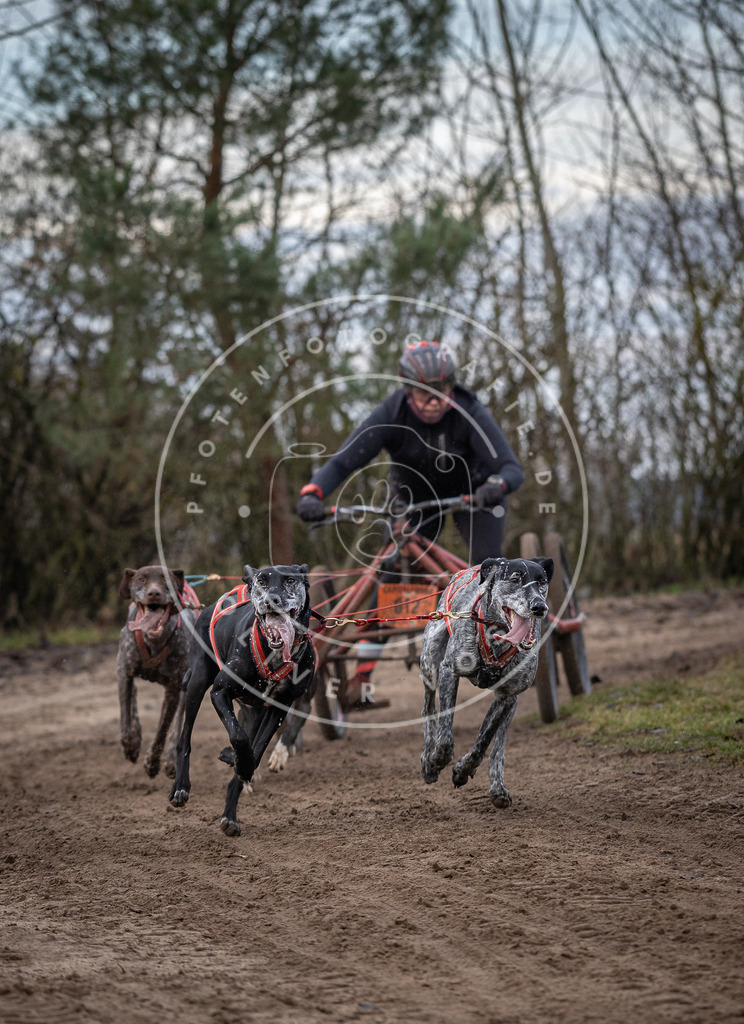 Pfotenfotografie_DV3A6024 | Hundefotografie, Tierfotograf, Pfotenfotografie, Fotoshooting Hund, Hunde Portrait, Hundesport, Hundeportraits, Heideshooting, Hunde, Sportfotograf, Hundefotograf, Turnierhundsport, THS,  - Realisiert mit Pictrs.com