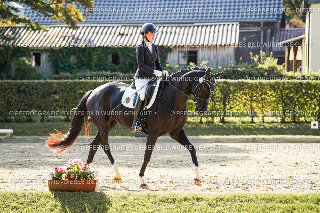 DSC06574 | Pferdegrafie