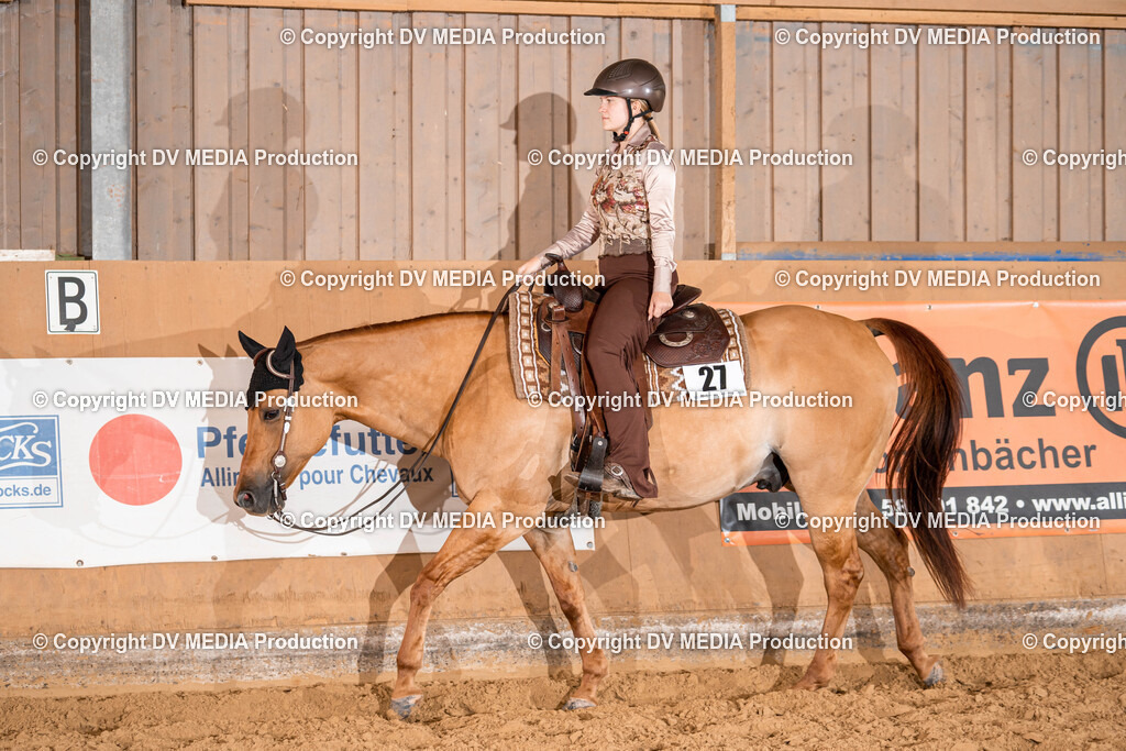 Losheim Tag 2-600 | dv-media-shop - Realisiert mit Pictrs.com