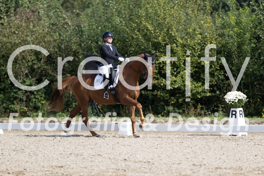 IMG_3300 | Creatify Fotografie