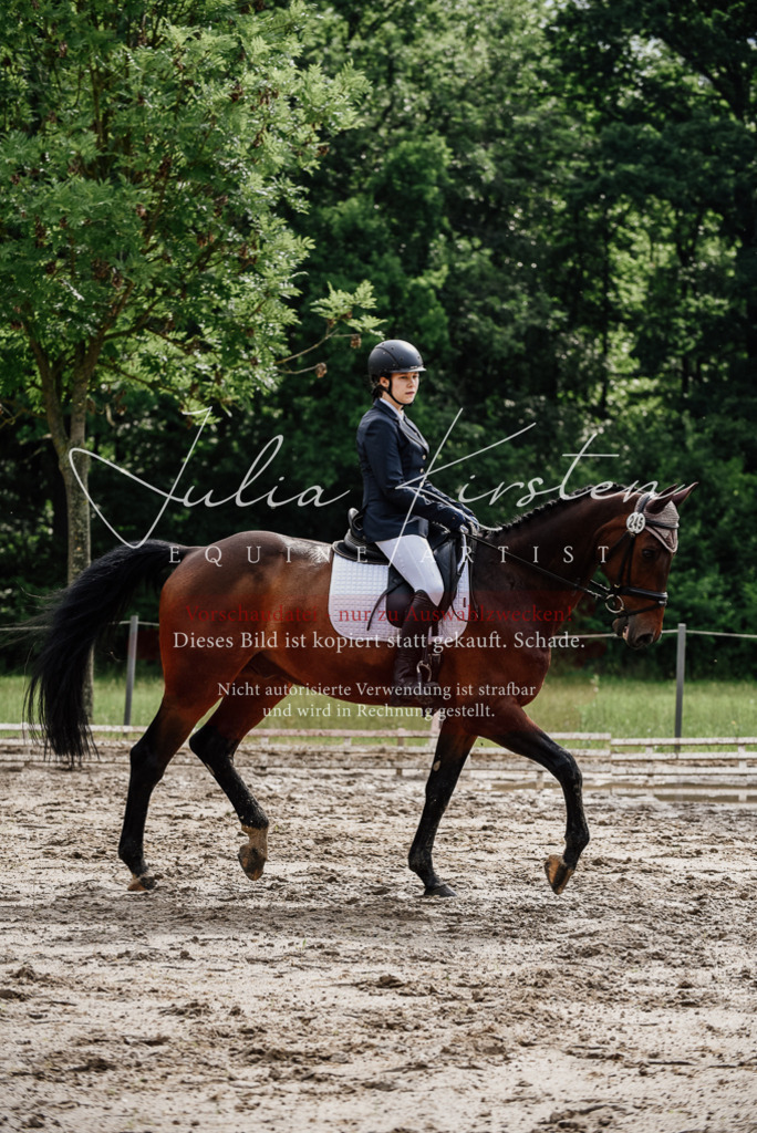 DSC_9573 | Pferde- und Turnierfotografie in Westsachsen. Pferdeportraits, Auftragszeichnungen und intuitive Kunst.