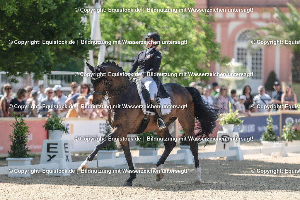 20230528_03_GP-Special-Tour_0034 | equistock