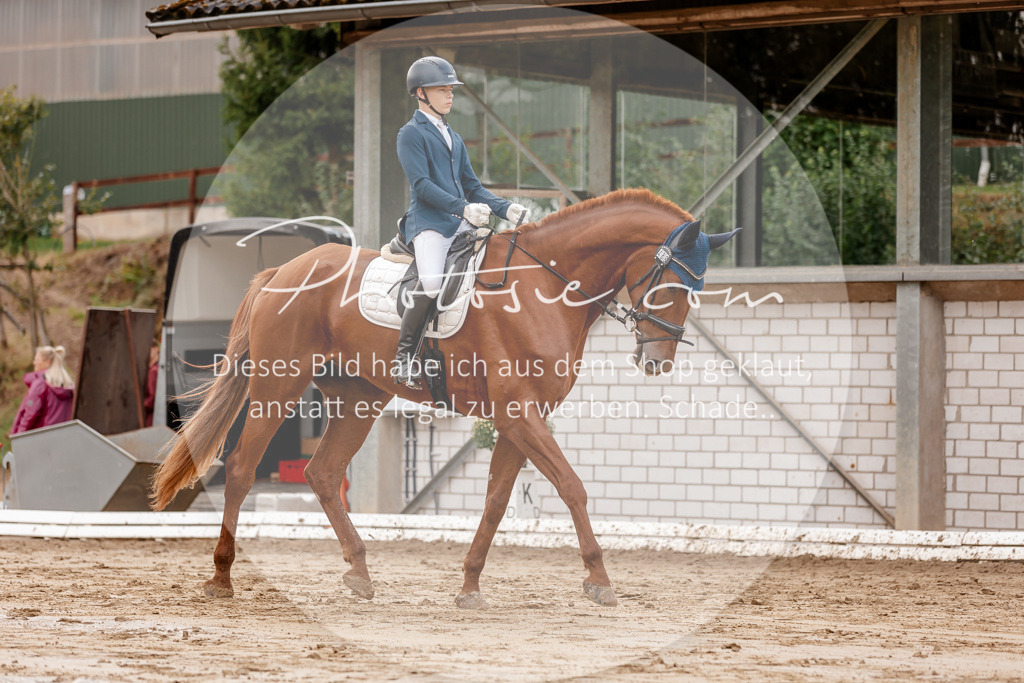 3I6A6982 | Stimmungsvolle Portraits und Reitsportfotografie im Ruhrgebiet und im Münsterland.

Pferdefotografie, Hundefotografie, Tierfotografie, Reportagen, Portraits von Tier und Mensch, Turnierfotografie in Bochum, Recklinghausen, Marl, Haltern am See, Dülmen.. - Realisiert mit Pictrs.com