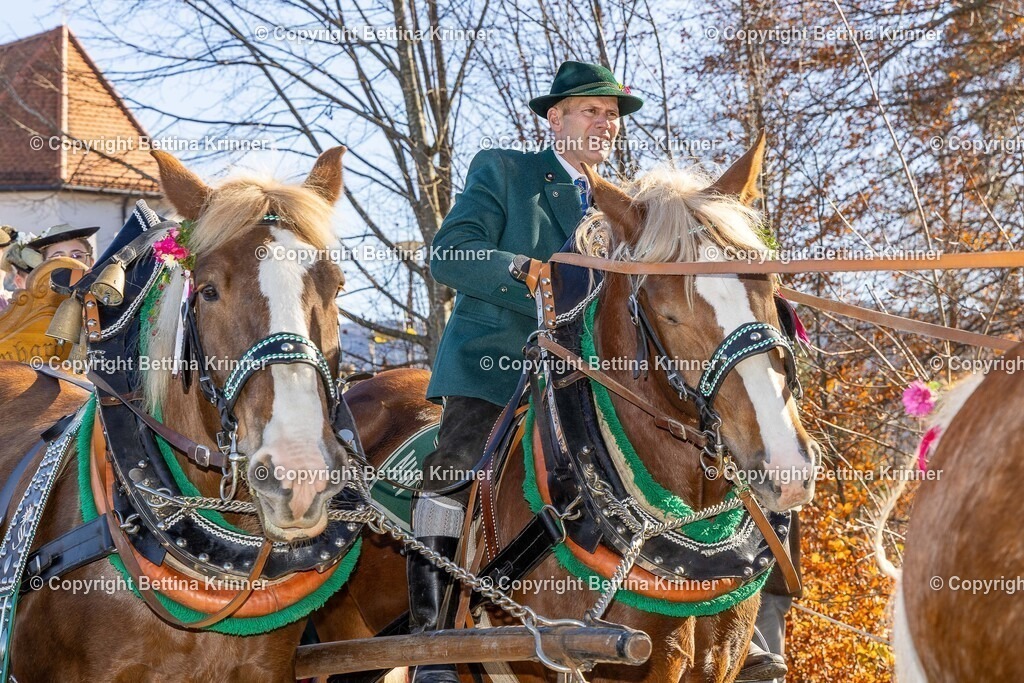 LBT25-1284 | foto-bettina-krinner - Realisiert mit Pictrs.com