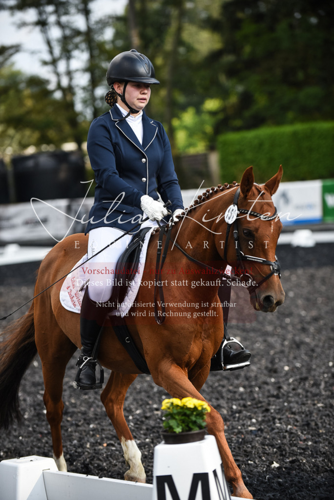 DSC_3455 | Pferde- und Turnierfotografie in Westsachsen. Pferdeportraits, Auftragszeichnungen und intuitive Kunst.