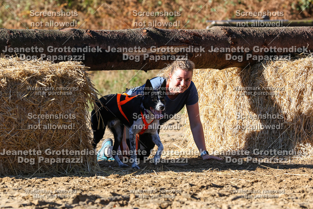 Dog Paparazzi - Strongdog 10-25-1862 | Dog Paparazzi Jeanette Grottendiek Fotografie & Videografie - Realisiert mit Pictrs.com