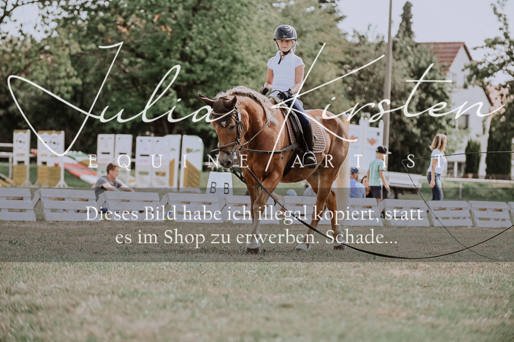 DSC_7796 | Pferde- und Turnierfotografie in Westsachsen. Pferdeportraits, Auftragszeichnungen und intuitive Kunst.