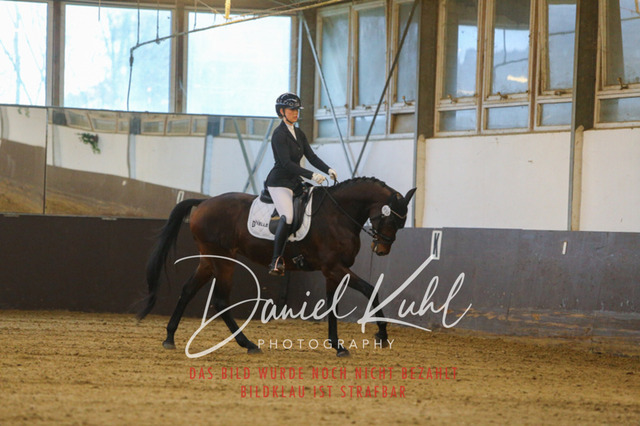 IMG_7850 | Turniersportfotografie; Pferdefotografie; Dressurfotografie