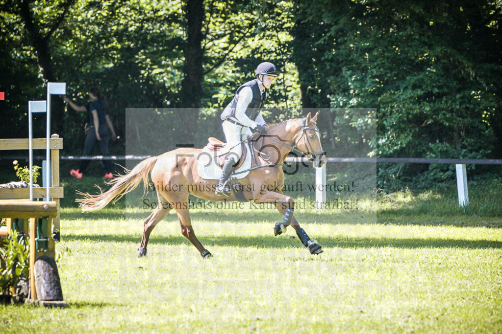 DOS_5767 | Entdecke hochwertige Reitturnierfotos von Foto Oger. Professionell, emotional und authentisch – jetzt Lieblingsmomente im Shop bestellen.Deutschlandweite Turnierfotografie. - Realisiert mit Pictrs.com