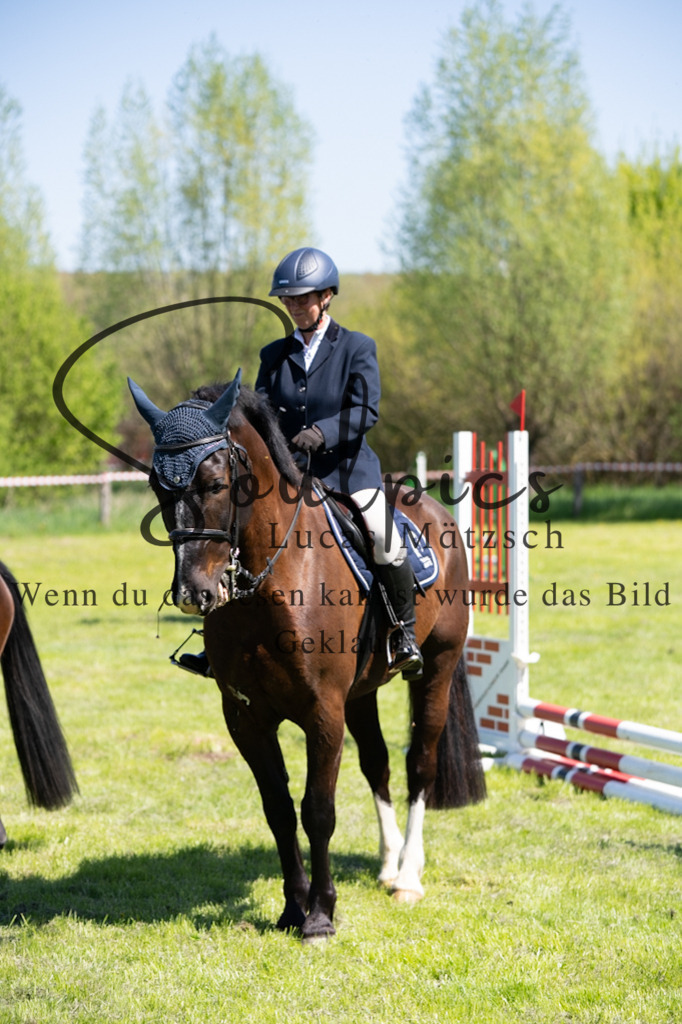 A7V01172 | Pferdefotograf