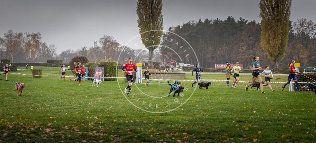 CaniXpix_DV3A8857 | Hundefotografie, Tierfotograf, Pfotenfotografie, Fotoshooting Hund, Hunde Portrait, Hundesport, Hundeportraits, Heideshooting, Hunde, Sportfotograf, Hundefotograf, Turnierhundsport, THS,  - Realisiert mit Pictrs.com
