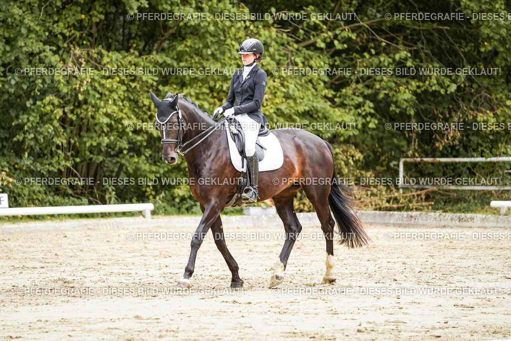 DSC03877 | Pferdegrafie