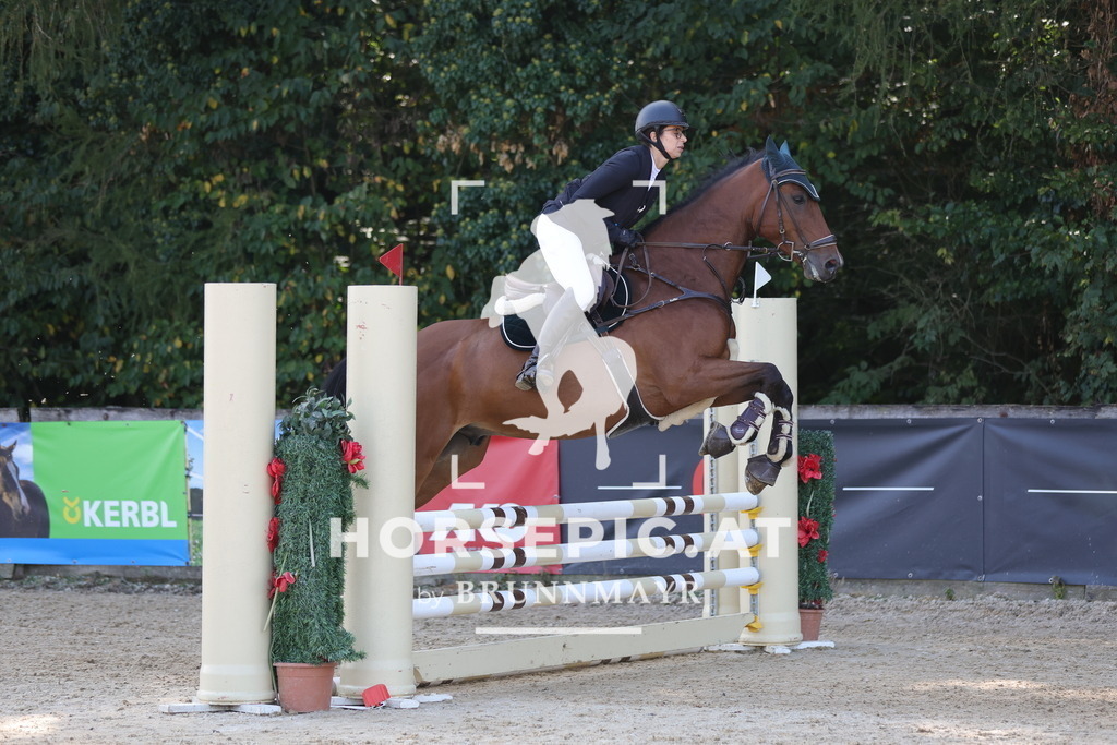 0P6A1828 | Willkommen bei Brunnmayr - Design & Fotografie – Ihrem Spezialisten für Reitturniere und Pferdeveranstaltungen in Oberösterreich, Salzburg und Bayern! Seit über 17 Jahren sind wir leidenschaftlich dabei.