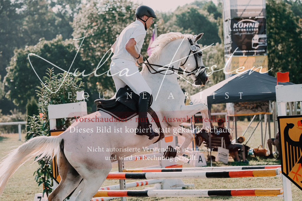 DSC_4563 | Pferde- und Turnierfotografie in Westsachsen. Pferdeportraits, Auftragszeichnungen und intuitive Kunst.
