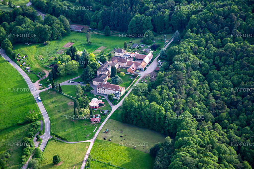 Hofgemeinschaft Josefshof, Gallowway, Freie Bauernhof Waldschule Südpfalz | Luftbild: Hofgemeinschaft Josefshof, Gallowway, Freie Bauernhof Waldschule Südpfalz in Völkersweiler im Bundesland Rheinland-Pfalz in Deutschland. Foto: IMG_140746.jpg vom 20.05.2024 durch ©2025 Werner Riehm fly-foto.de/copyright - Realisiert mit Pictrs.com
