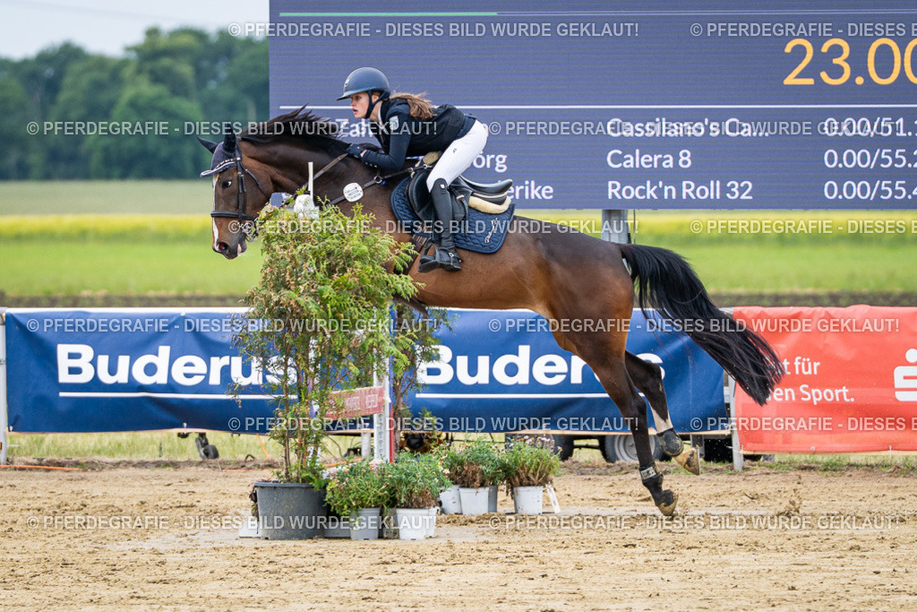 DSC04927 | Pferdegrafie