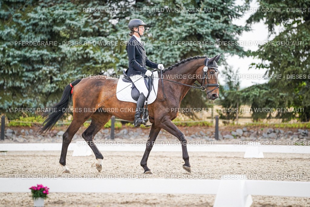 DSC00813 | Pferdegrafie