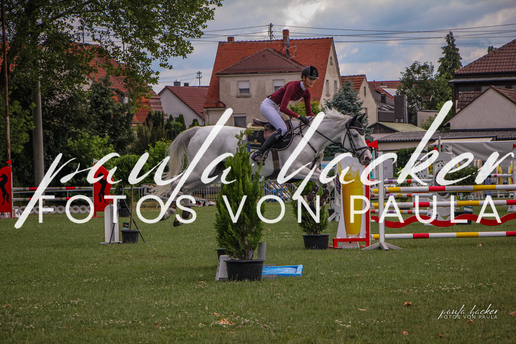IMG_9093 | Erleben Sie dynamische Sport- und emotionale Tierfotografie in Süddeutschland mit Fotos von Paula. Spezialisiert auf Pferde- und Hundefotografie sowie Sportevents. Kontaktieren Sie mich für einzigartige und ausdrucksstarke Bilder Ihrer besonderen Momente. - Realisiert mit Pictrs.com
