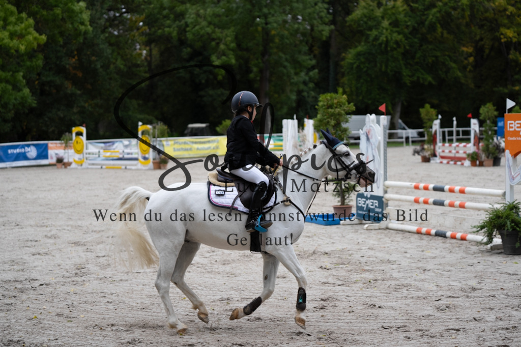 A7V08416 | Pferdefotograf