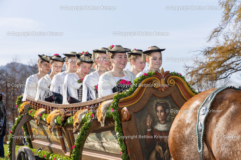 LBT24-1174 | foto-bettina-krinner - Realisiert mit Pictrs.com